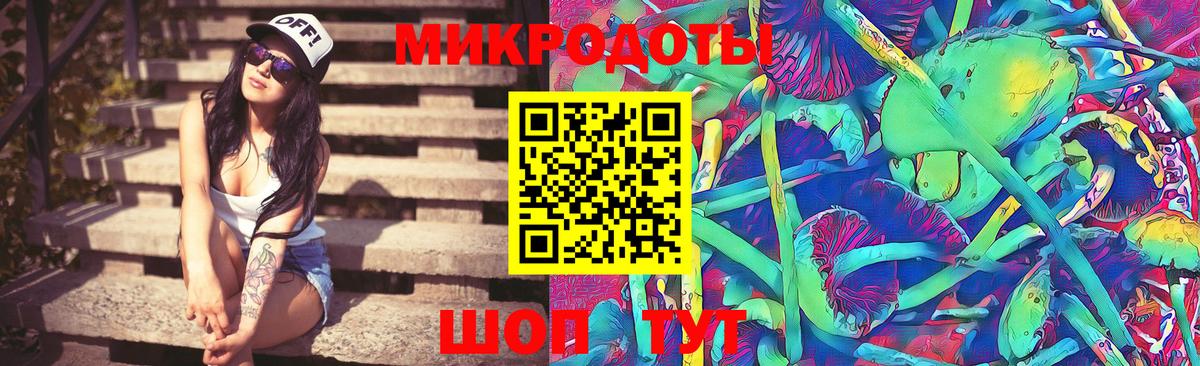 Псилоцибиновые грибы прущие грибы Сальск