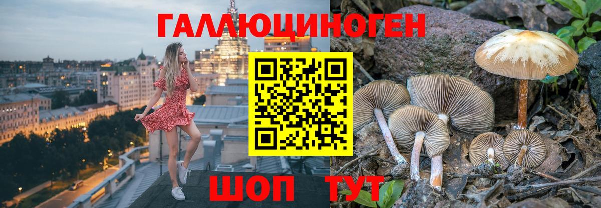 Псилоцибиновые грибы Cubensis  Вход с VPN  Сальск 